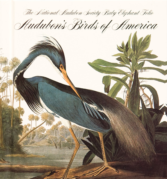The Intaglio Processes for Audubon’s Birds of America