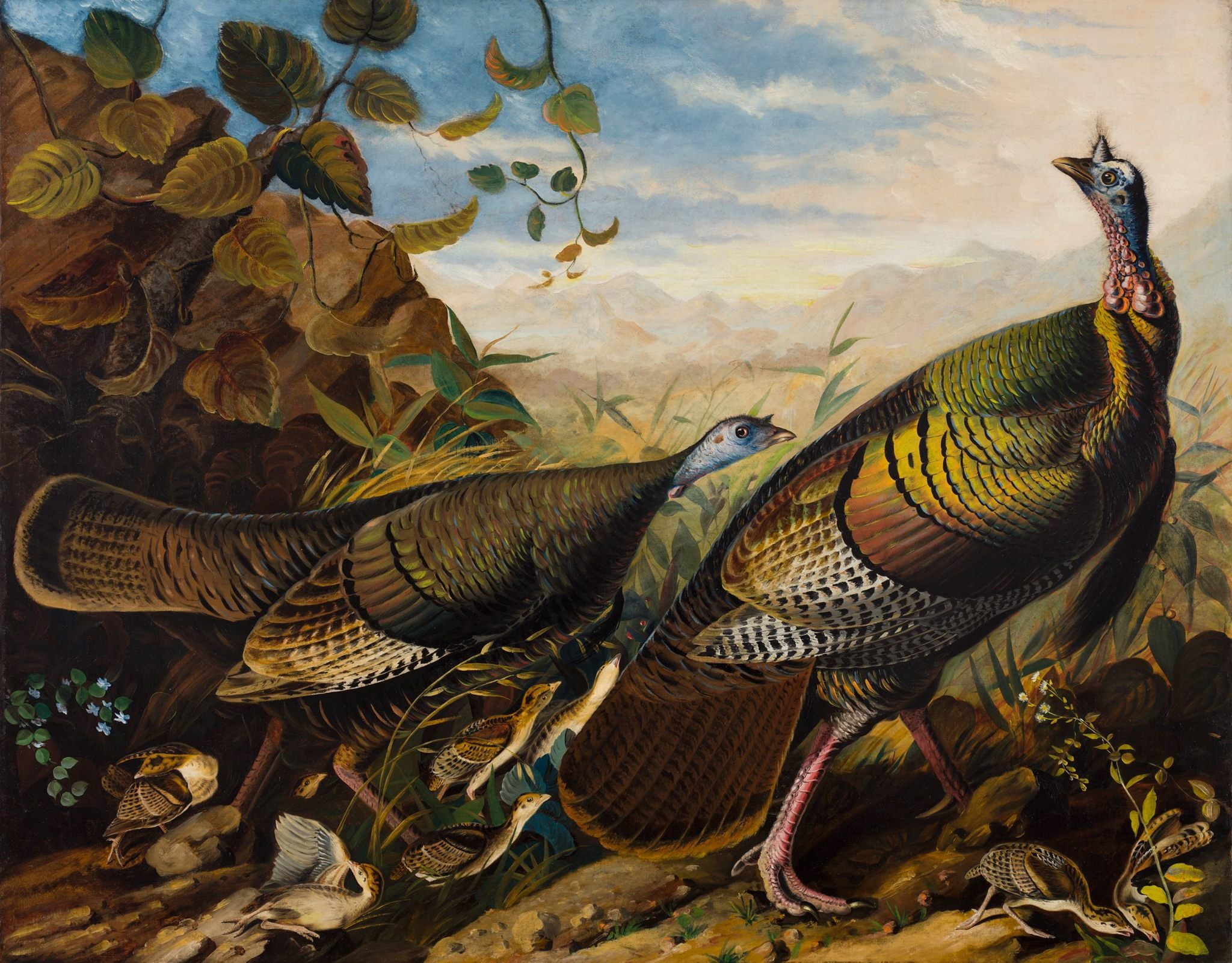 Audubon’s Art Method and Techniques
