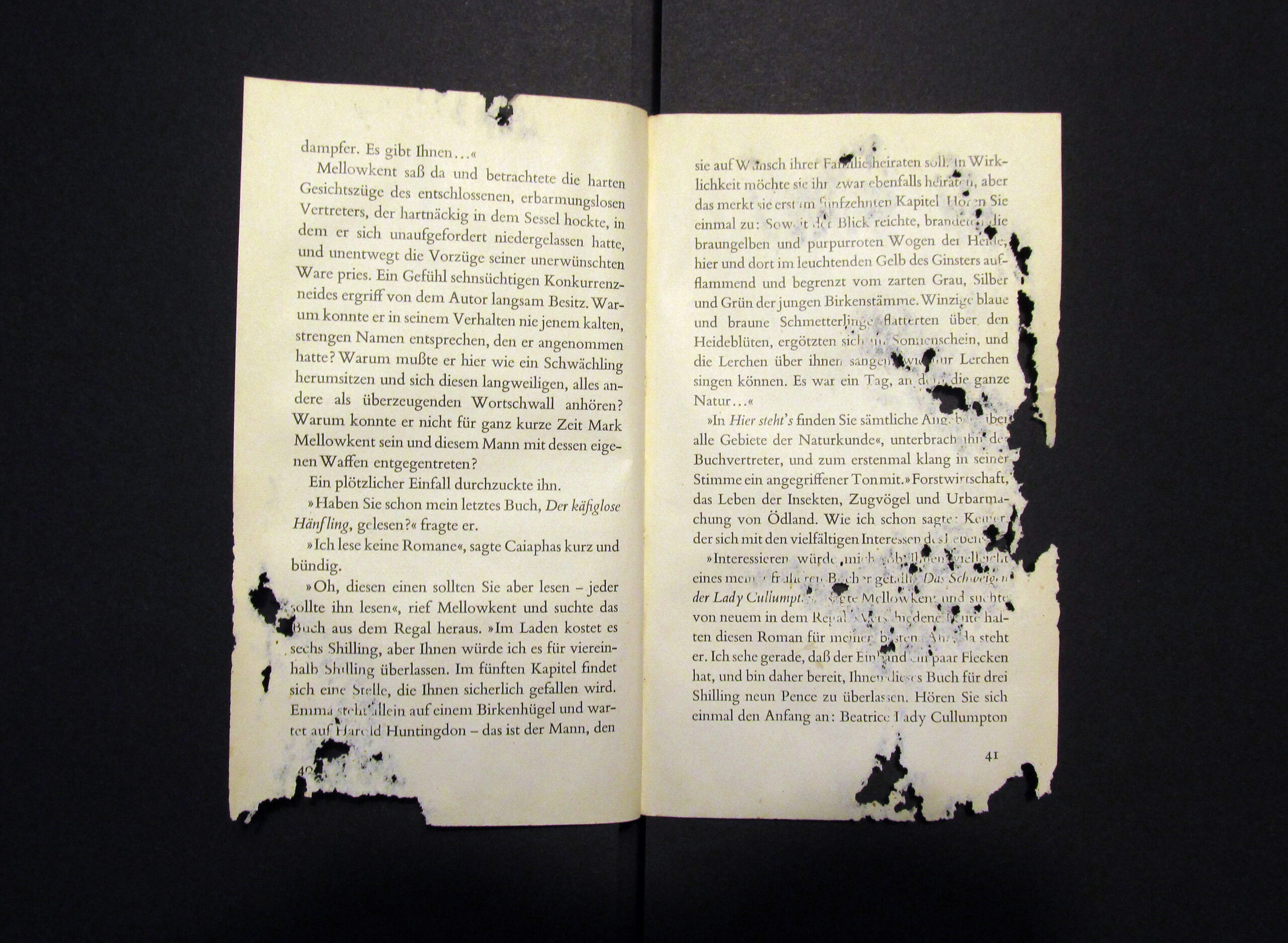 Protecting Rare Books: How to Build a Silverfish Trap