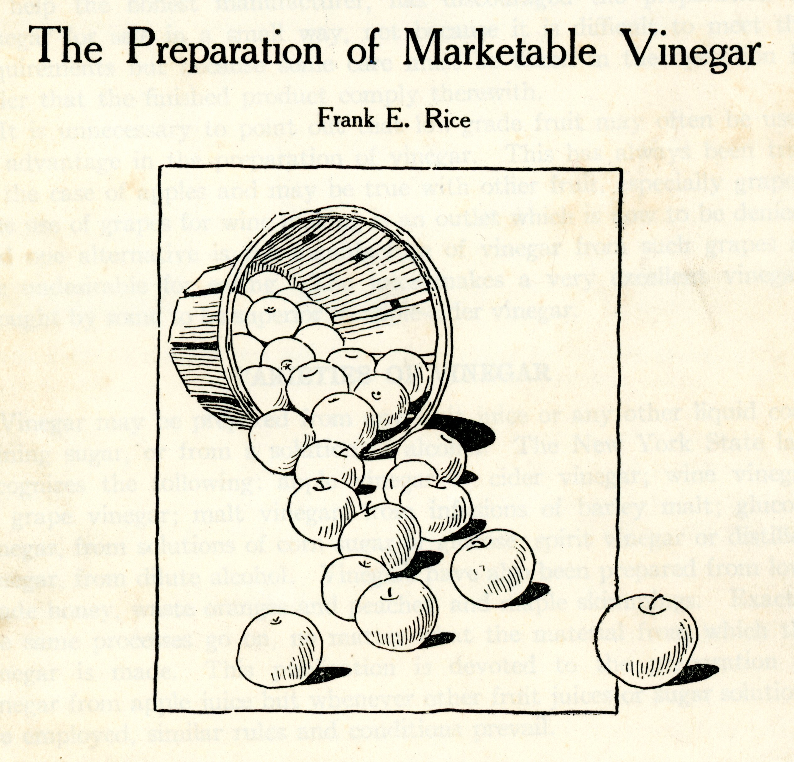 The Preparation of Marketable Vinegar