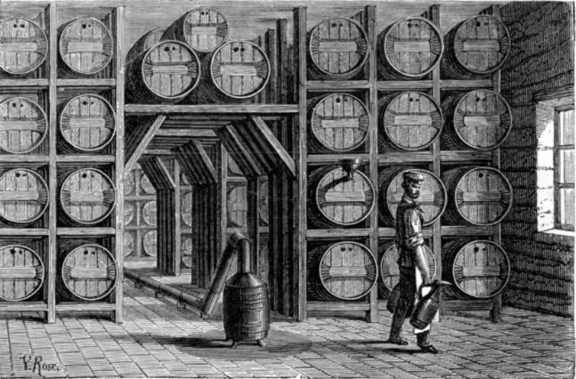 Making Apple Cider Vinegar