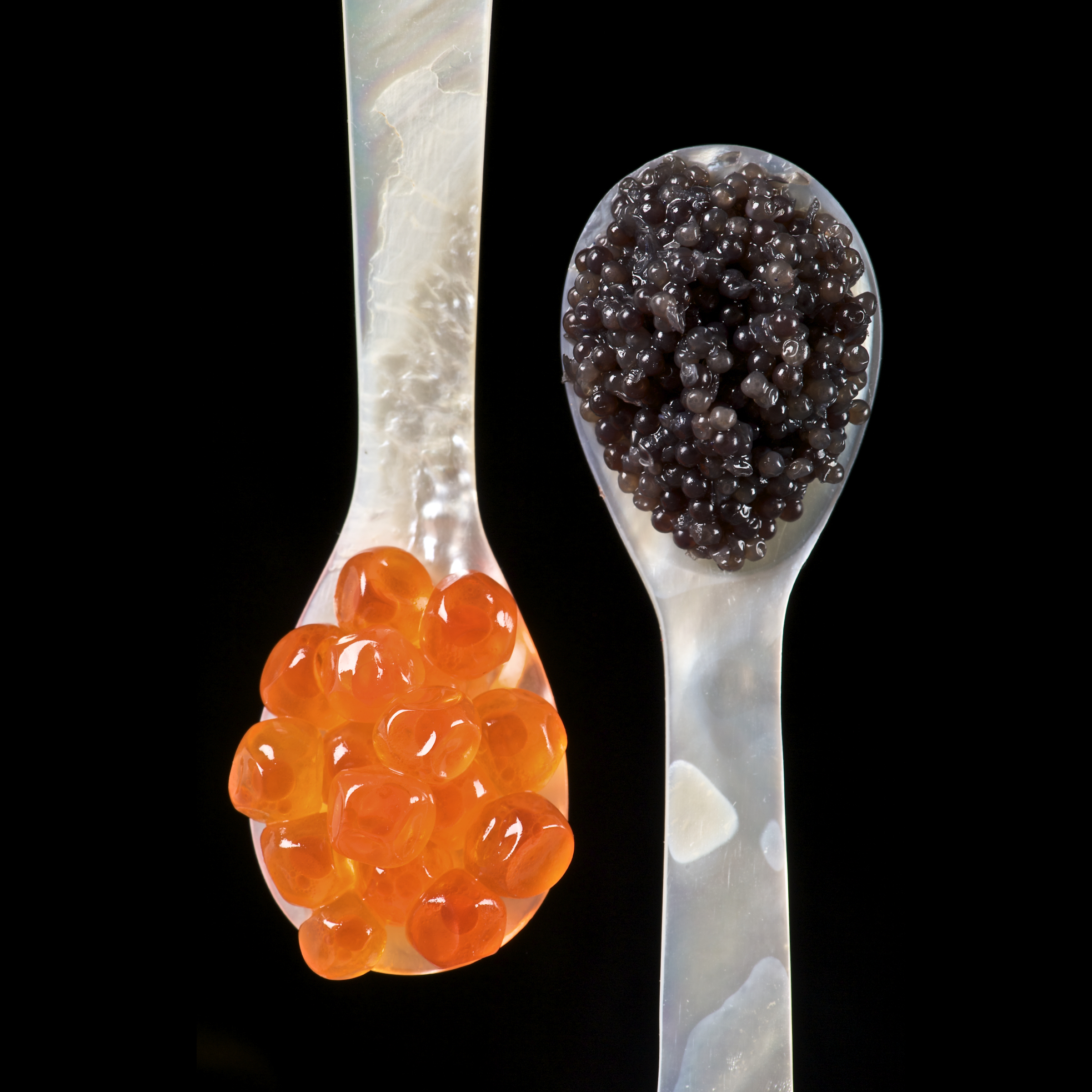 Salmon Caviar